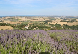 Concerto di campane tibetane presso il B&B "Lavanda L'Infinito" di Mombaroccio (PU)